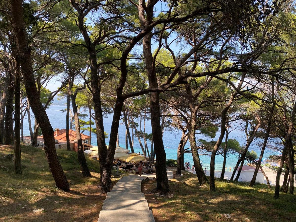 Villa Piscitelli Cavtat Eksteriør billede